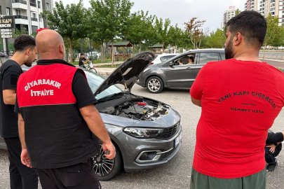 Diyarbakır’da otomobilin kaputuna giren yılanı vatandaşlar çıkardı