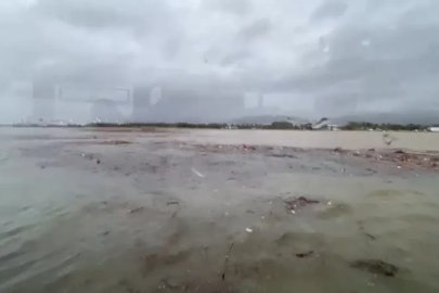 Derenin denize taşıdığı ağaç parçaları nedeniyle vapur seferleri aksadı