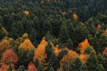 Gölcük Tabiat Parkı'nda sonbahar güzelliği