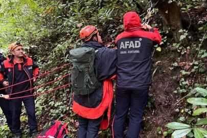 Kestane toplamak için gittiği ormanda ölü bulundu