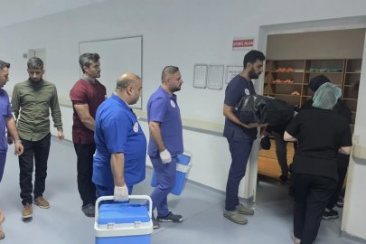 Beyin ölümü gerçekleşen bebeğin organları 3 hastaya umut oldu