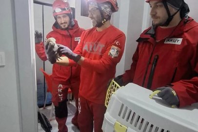 Havalandırma boşluğunda mahsur kalan baykuşu, AKUT kurtardı