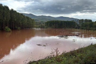 Amasra'da fırtına; çok sayıda ağaç devrildi (4)