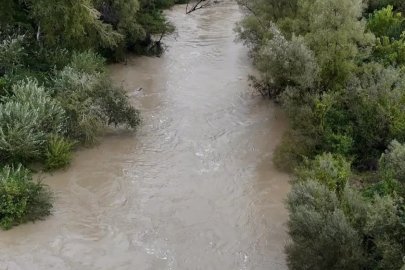 Amasra'da fırtına; çok sayıda ağaç devrildi (5)