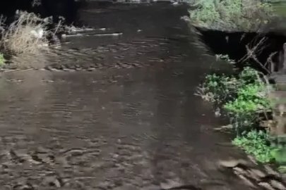 Yenişehir'de tarım arazileri sular altında kaldı
