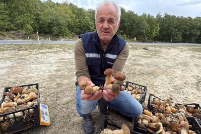 Istranca Ormanları'nda mantar bereketi