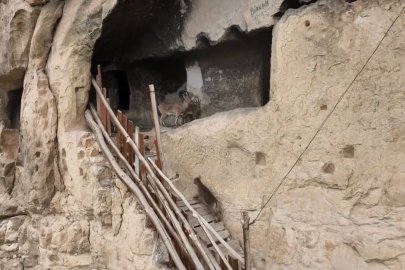 Tunceli’de 25 odalı tarihi ‘İn Delikleri’ne tırmanan yaban keçileri dronla görüntülendi