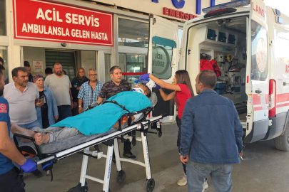 Kestiği ağacın altında kalan emekli uzman çavuş ağır yaralandı