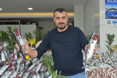 ‘Palamut bolluğu en az 1 ay daha sürecek’