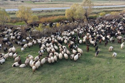 Van ve Bitlis’te göçerlerin dönüş yolculuğu başladı