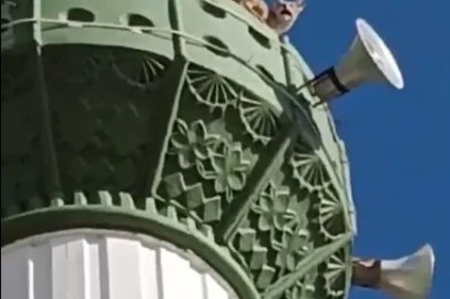 Tilki minareye çıktı