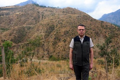 Şakalaşma sırasında atılan torpille yanan alan, 27 bin fidanla yeniden ağaçlandırıldı