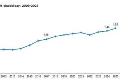 TÜİK: Ar-Ge harcaması 328,6 milyar lira arttı