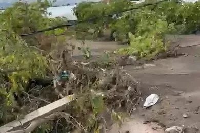 Elazığ’da sağanak sele neden oldu, üzüm bağları su altında kaldı / Ek fotoğraf